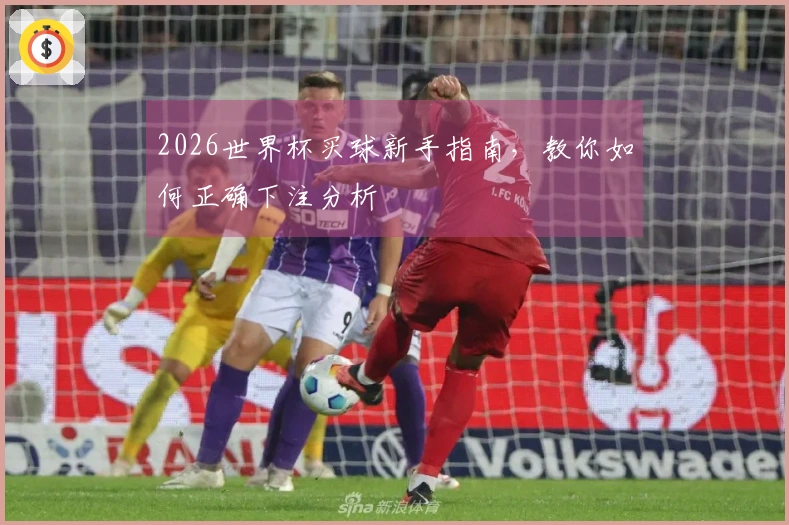 2026世界杯买球新手指南，教你如何正确下注分析