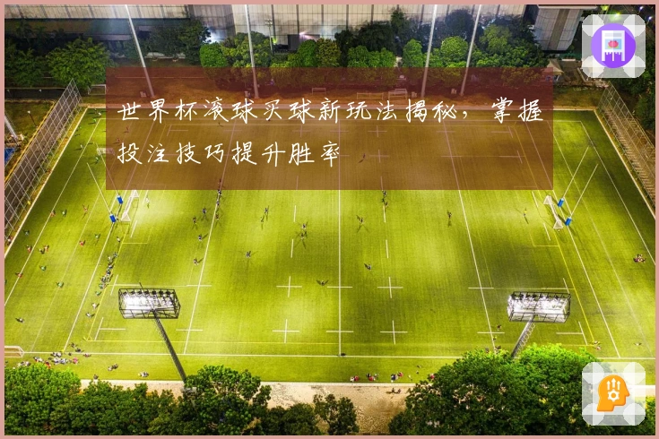 世界杯滚球买球新玩法揭秘，掌握投注技巧提升胜率
