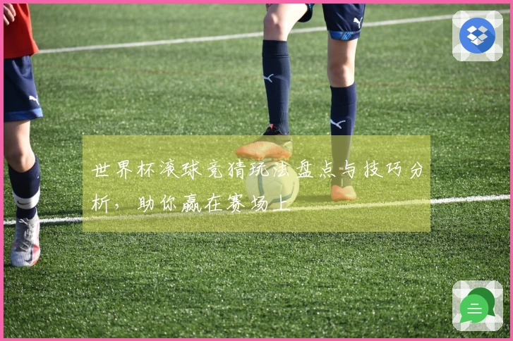 世界杯滚球竞猜玩法盘点与技巧分析，助你赢在赛场上