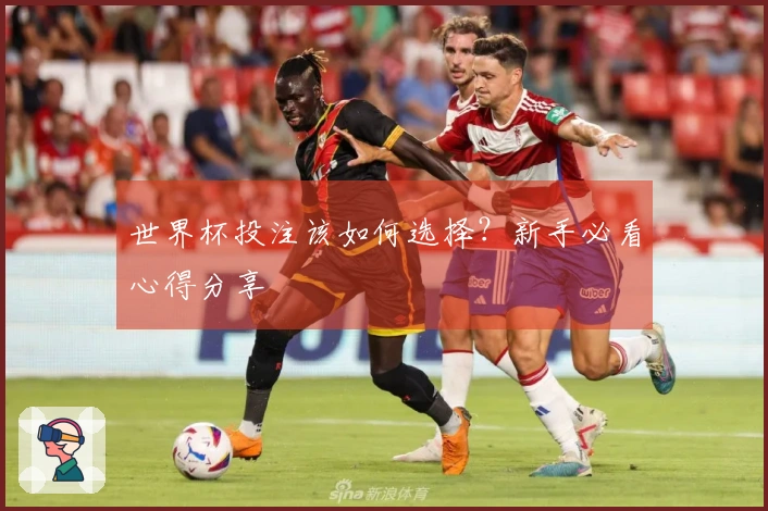 世界杯投注该如何选择？新手必看心得分享