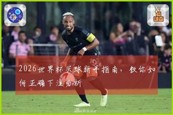 2026世界杯买球新手指南，教你如何正确下注分析