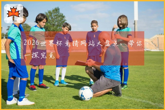 2026世界杯竞猜网站大盘点，带你一探究竟