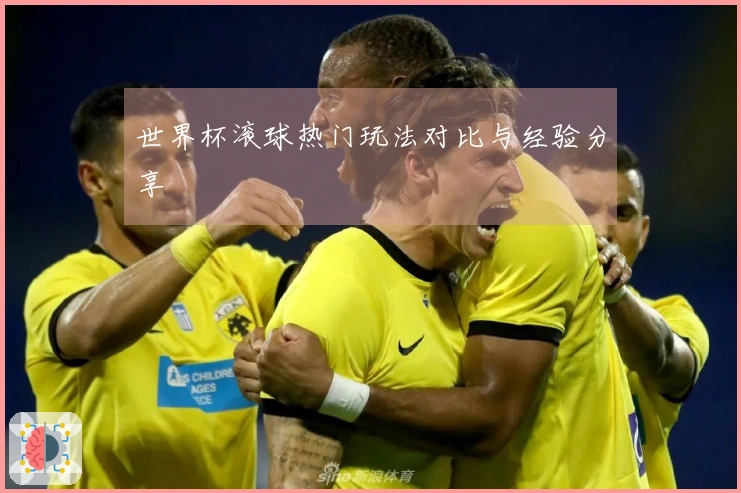 世界杯滚球热门玩法对比与经验分享