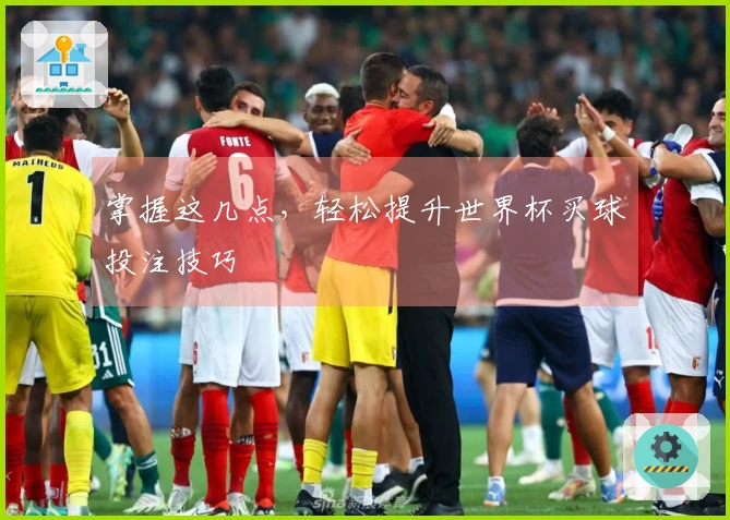 掌握这几点，轻松提升世界杯买球投注技巧