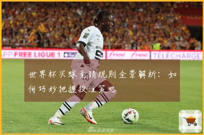 世界杯买球竞猜规则全景解析：如何巧妙把握投注策略
