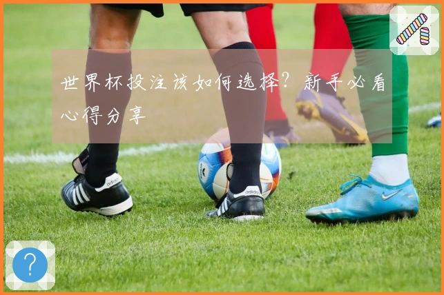 世界杯投注该如何选择？新手必看心得分享